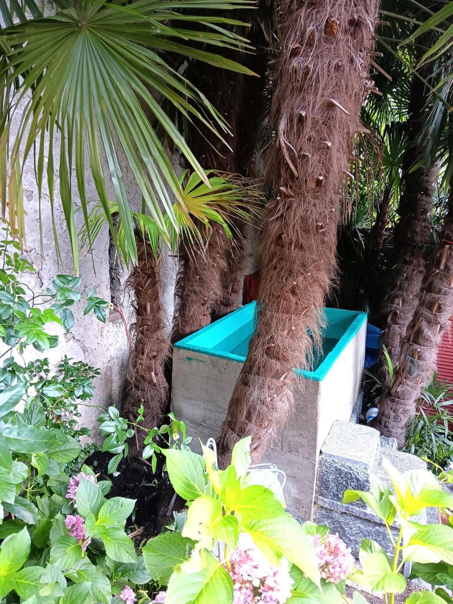 Casa Belgeri - Bed & Breakfast Dongio Exterior photo